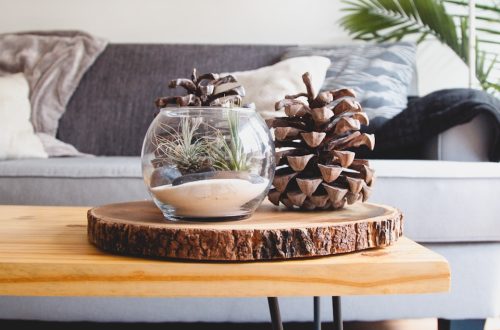 clear fishbowl beside pine cones on brown wooden table